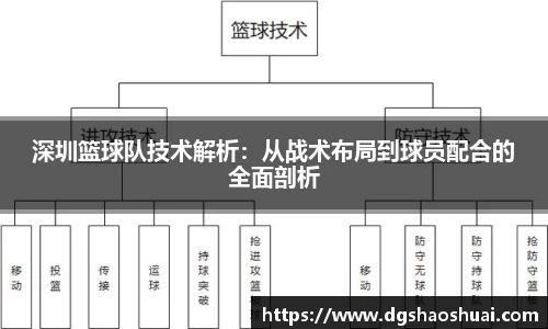 深圳篮球队技术解析：从战术布局到球员配合的全面剖析